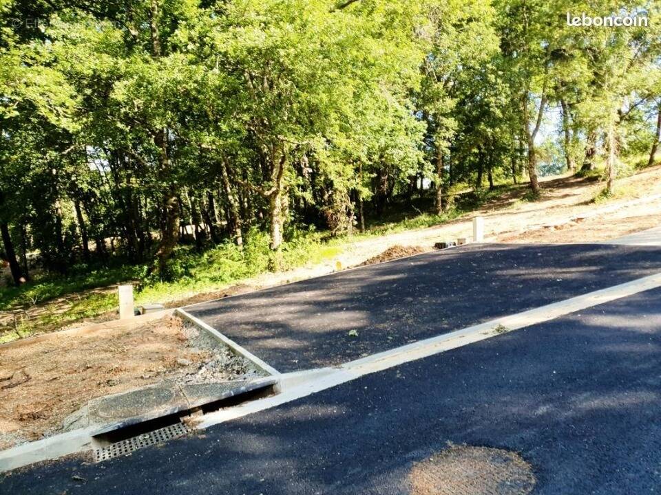 Terrain à SANGUINET