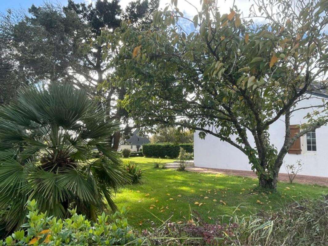 Maison à MONTOIR-DE-BRETAGNE