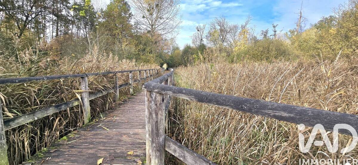 Photo 1 - Appartement à SAINTE-GENEVIEVE-DES-BOIS