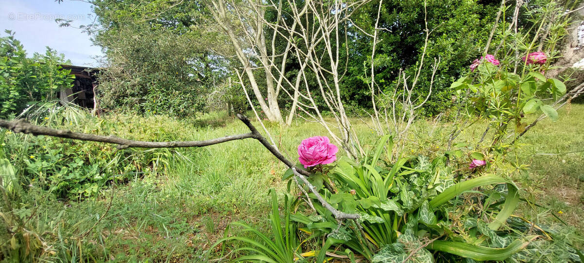 Terrain à VILLANDRAUT