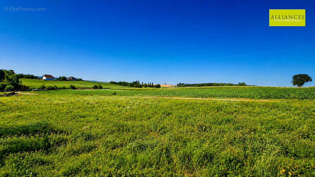 Terrain aux portes de la Suisse - photo 4