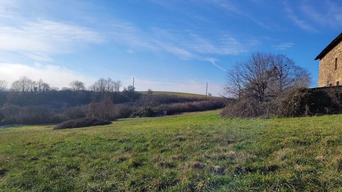 Maison à CORDES-SUR-CIEL