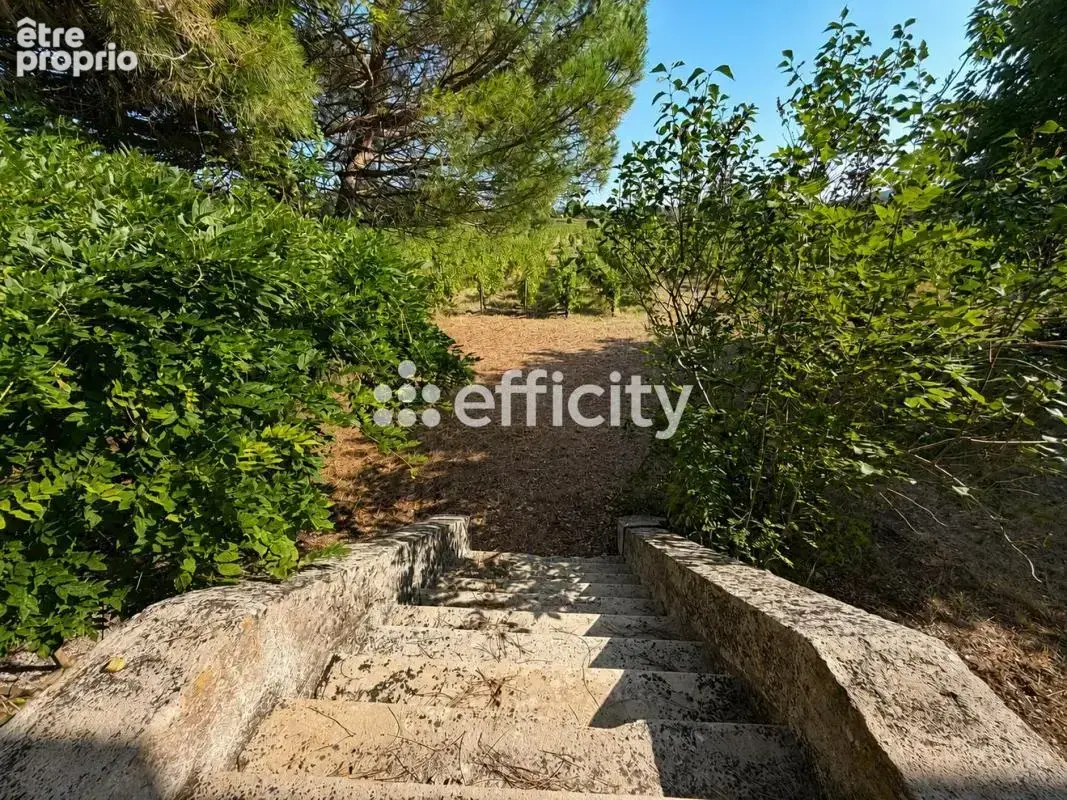 Maison 14 pièces 529 m² à vendre à Barsac (33720) - photo 6