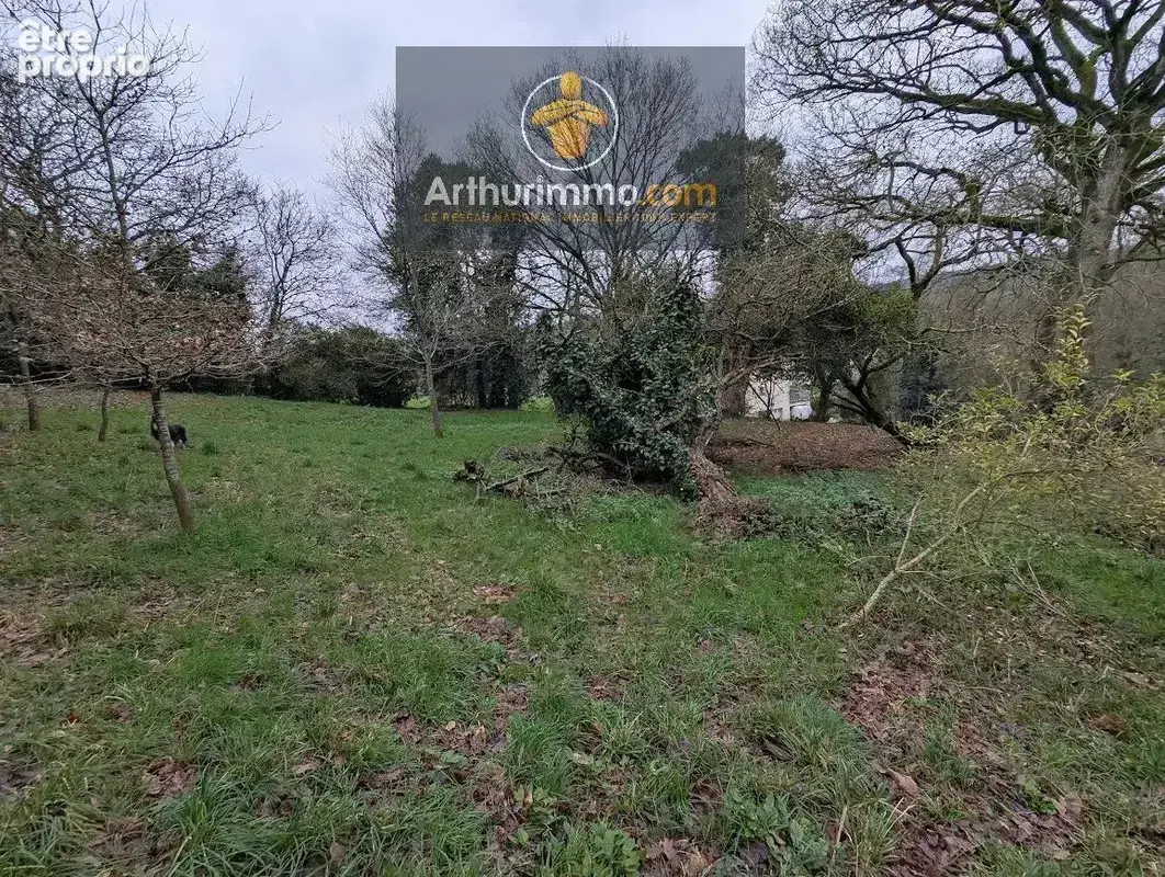 Vente Terrain Taupont(56800) 24 000ï¿œ - photo 10