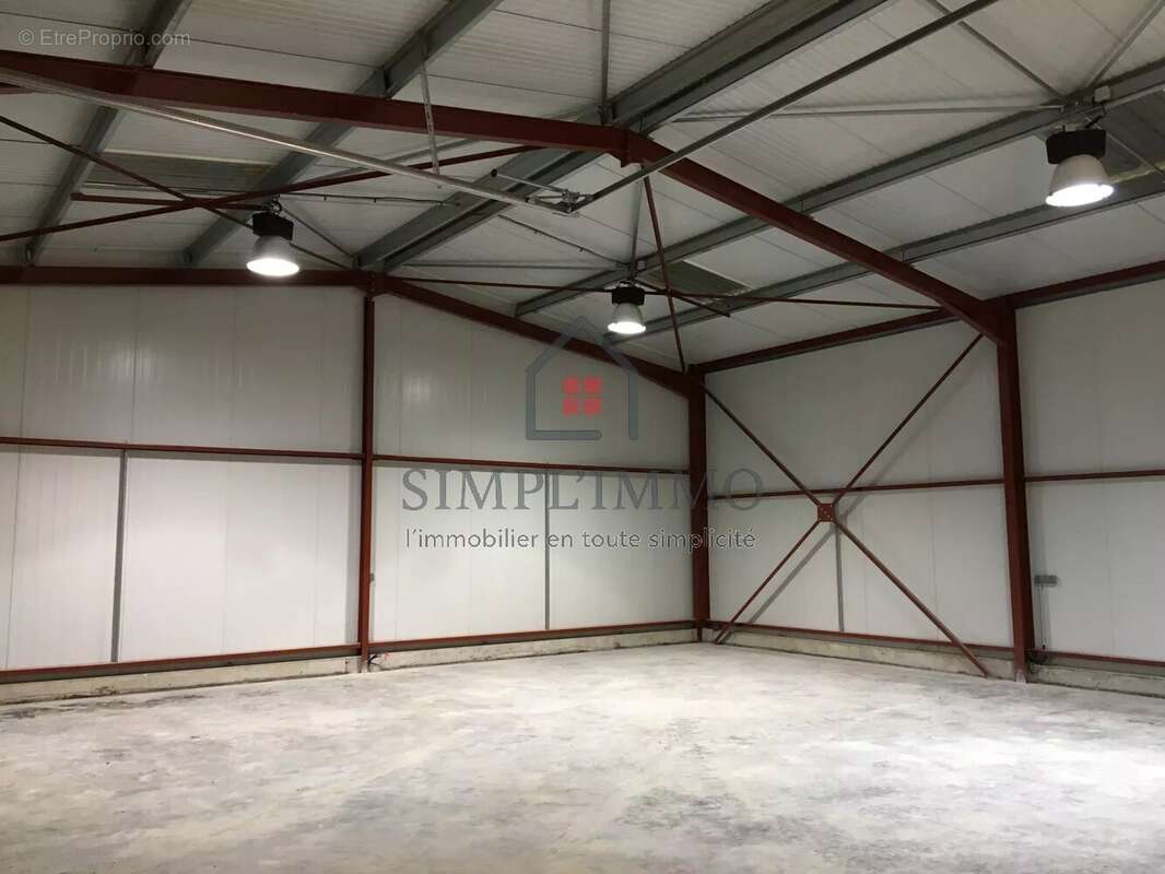 Commerce à SAINT-MEDARD-D'AUNIS