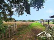 Photo 1 - Terrain à MAUSSAC