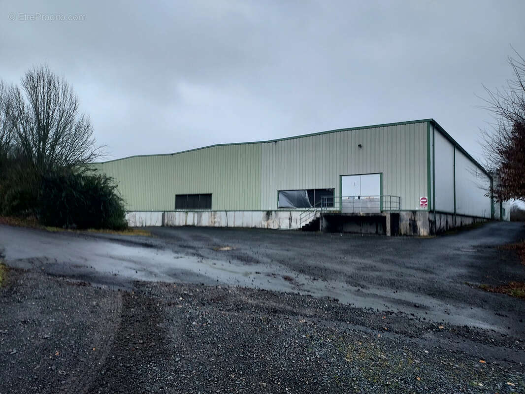 Commerce à BOURGUEIL