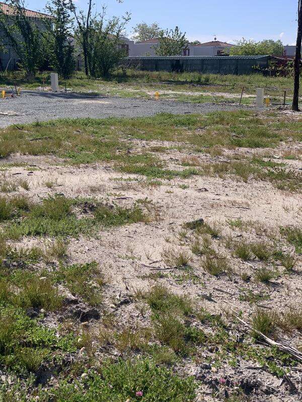 Terrain à BELIN-BELIET