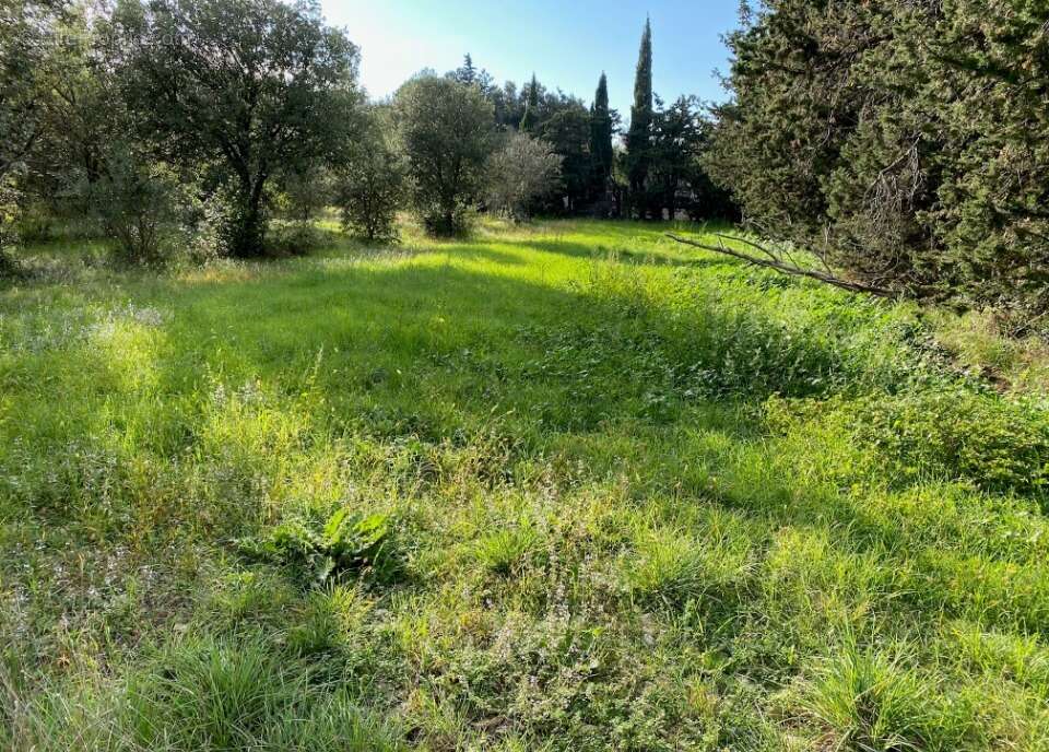 Terrain 802 m² à Grillon  - photo 4
