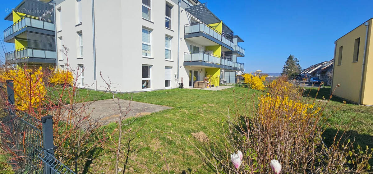 Appartement à BLOTZHEIM