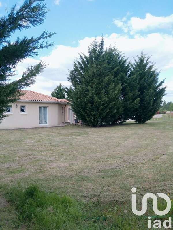 Photo 9 - Maison à SAINT-PIERRE-DE-MONS