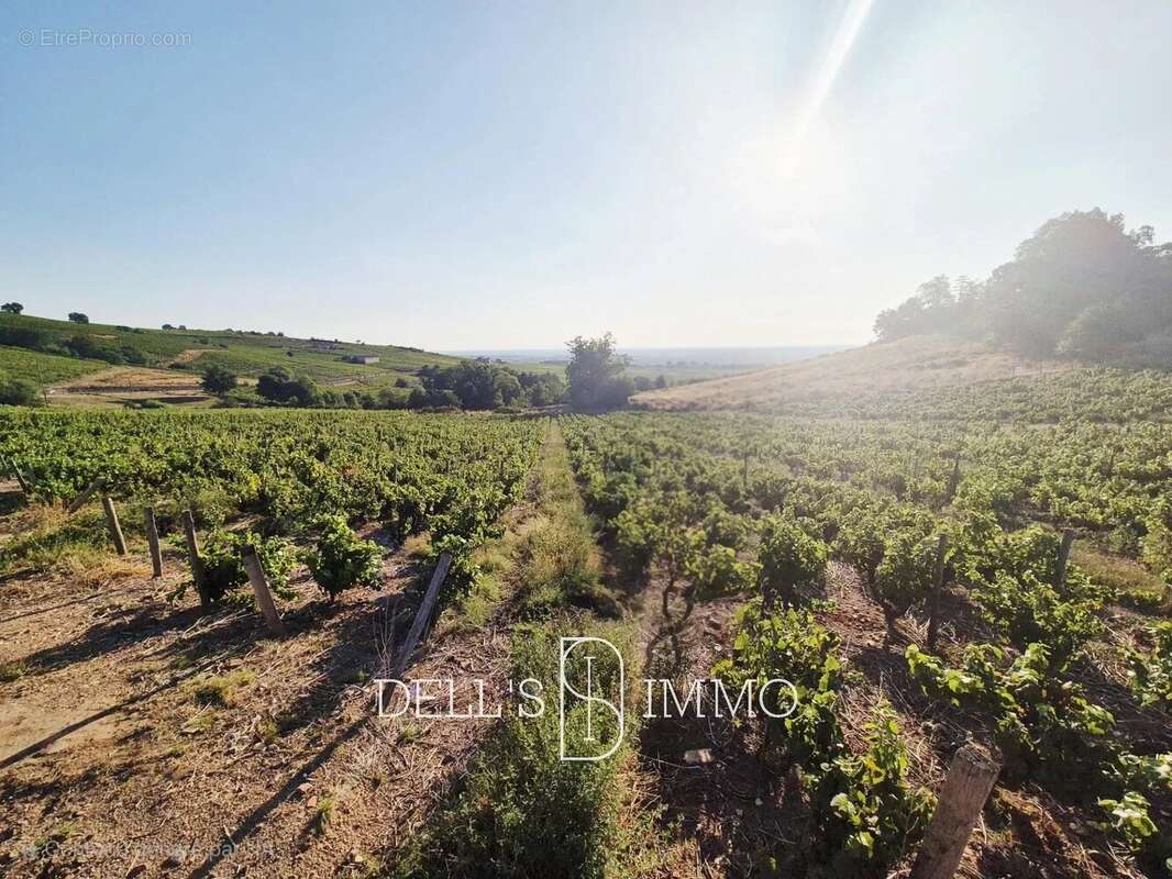 Terrain à FLEURIE