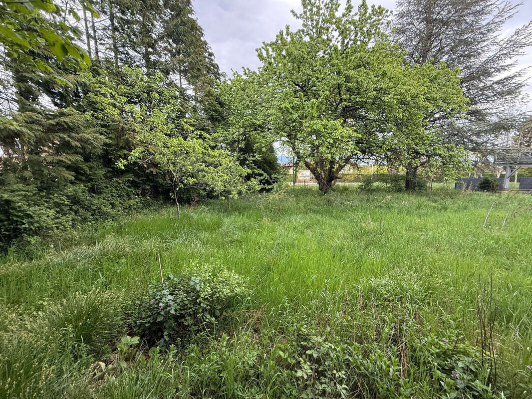 Terrain à LEAZ