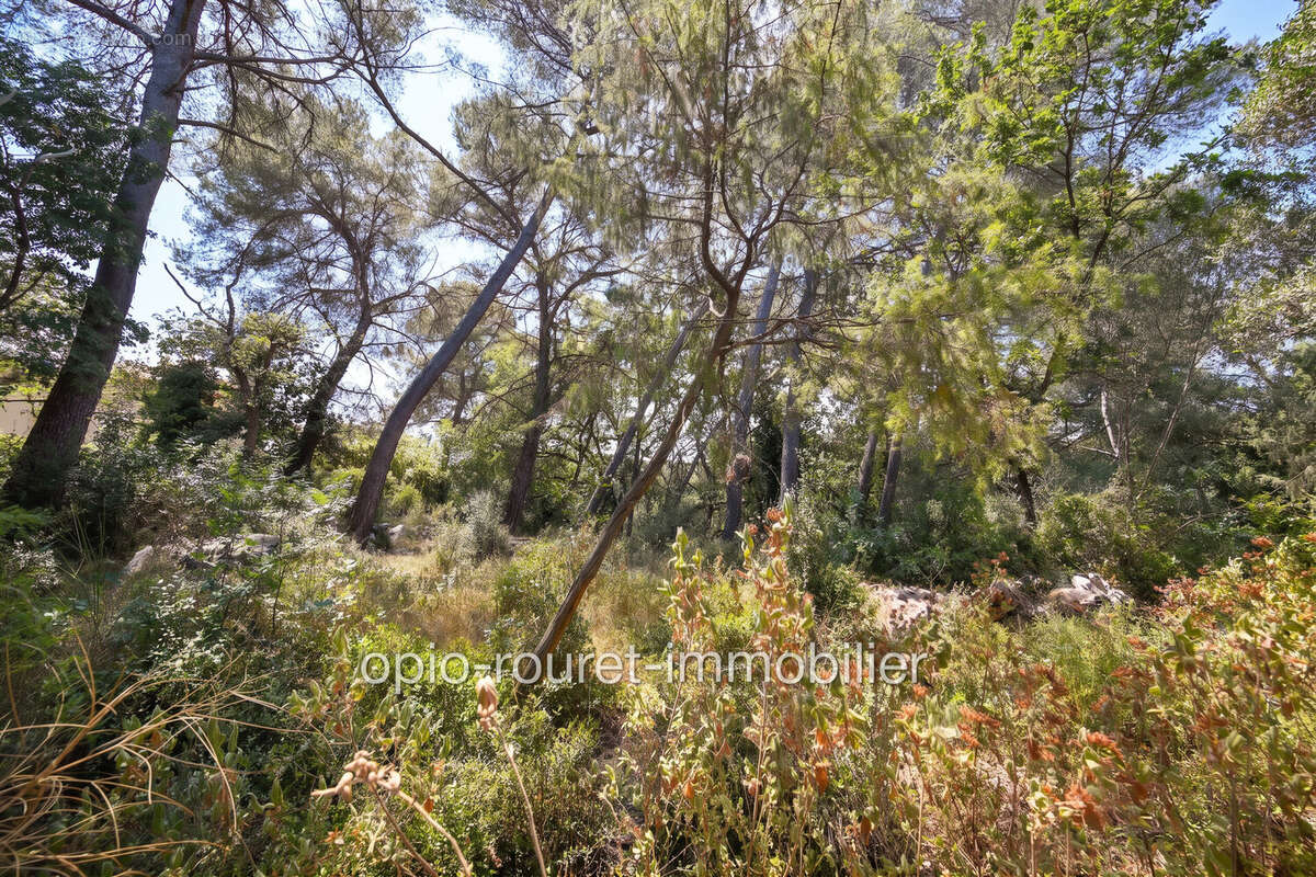 Terrain 2500 m² à Roquefort-Les-Pins  - photo 3