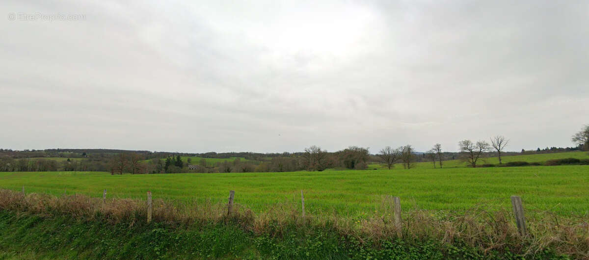Terrain à SAINT-MARTIN-LE-VIEUX