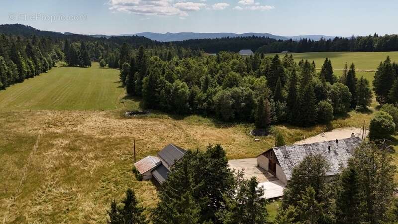Maison à LE GRAND-ABERGEMENT