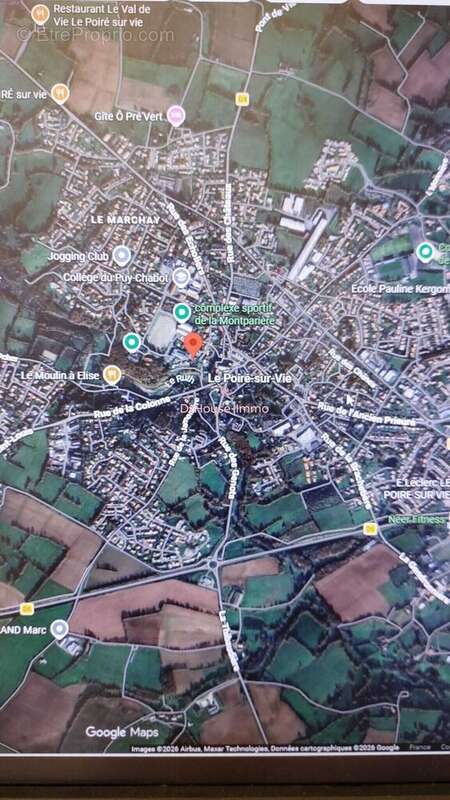 Terrain à LE POIRE-SUR-VIE