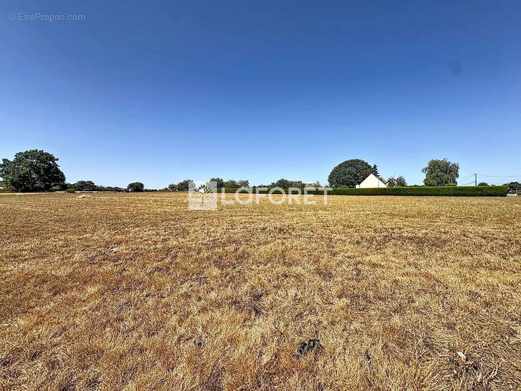 Maison Saint Vincent Sur Oust 4 pièce(s) 64 m2 - photo 8