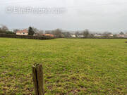 Terrain à TOULON-SUR-ARROUX
