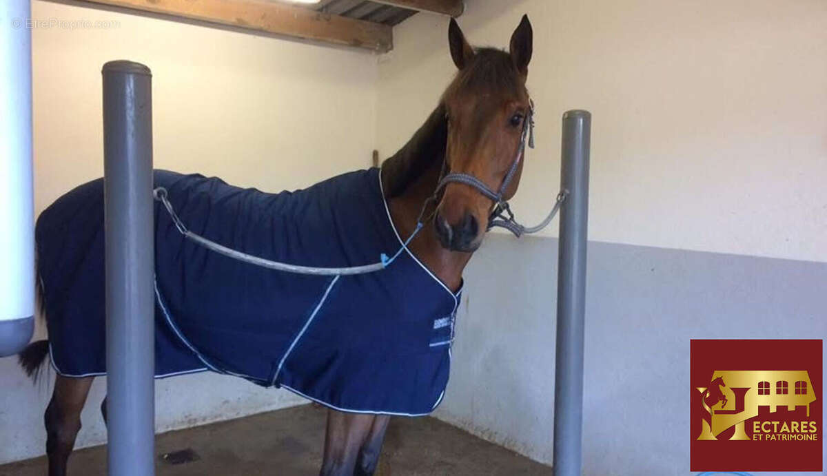 Maison à LA CHAPELLE-DE-LA-TOUR