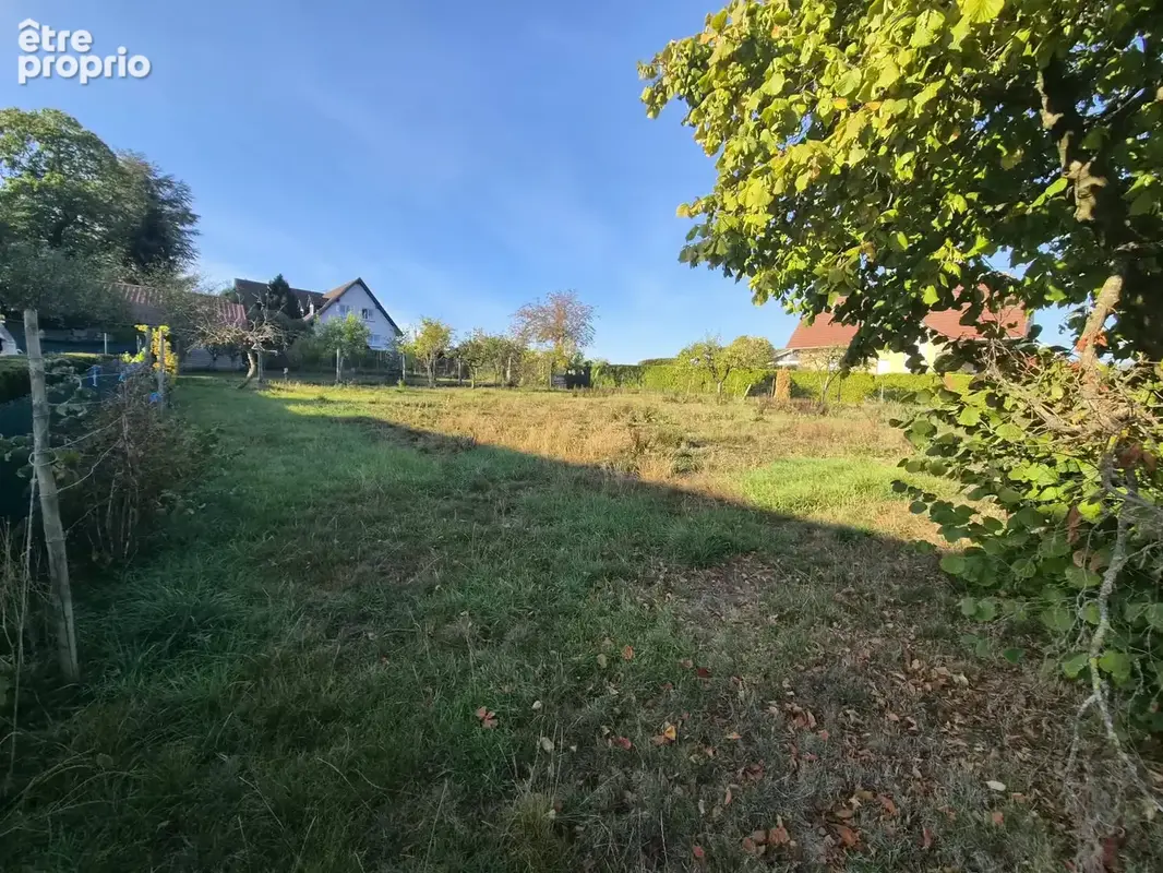 Terrain à STEINSELTZ