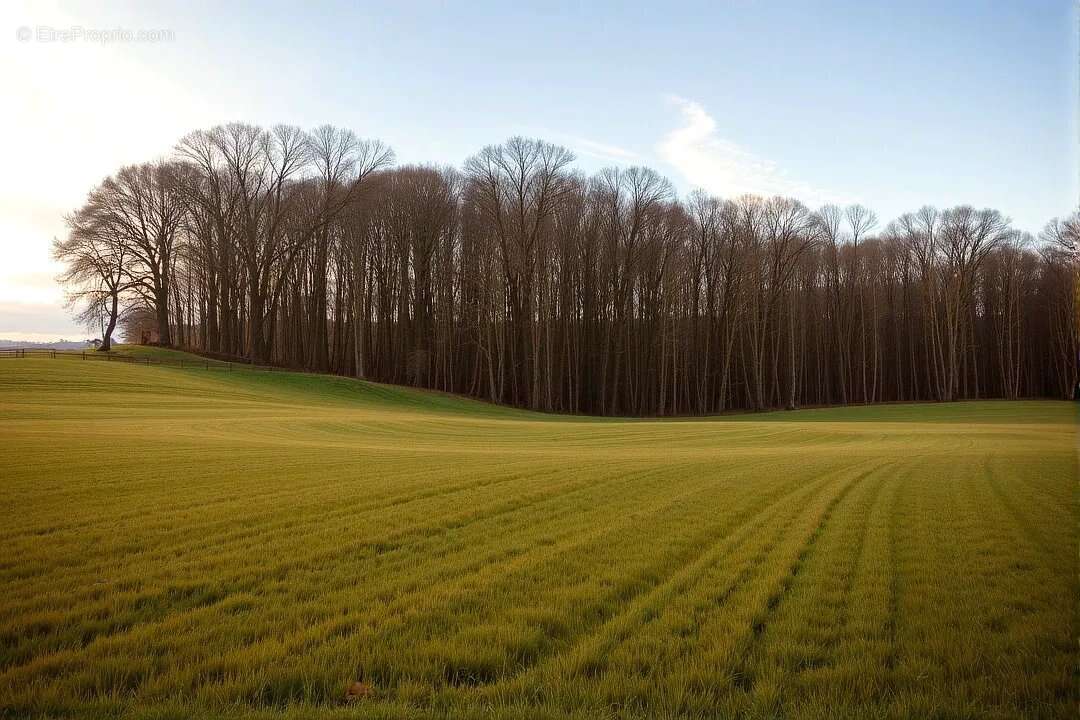 Terrain boisé de chênes Graulhet - photo 2