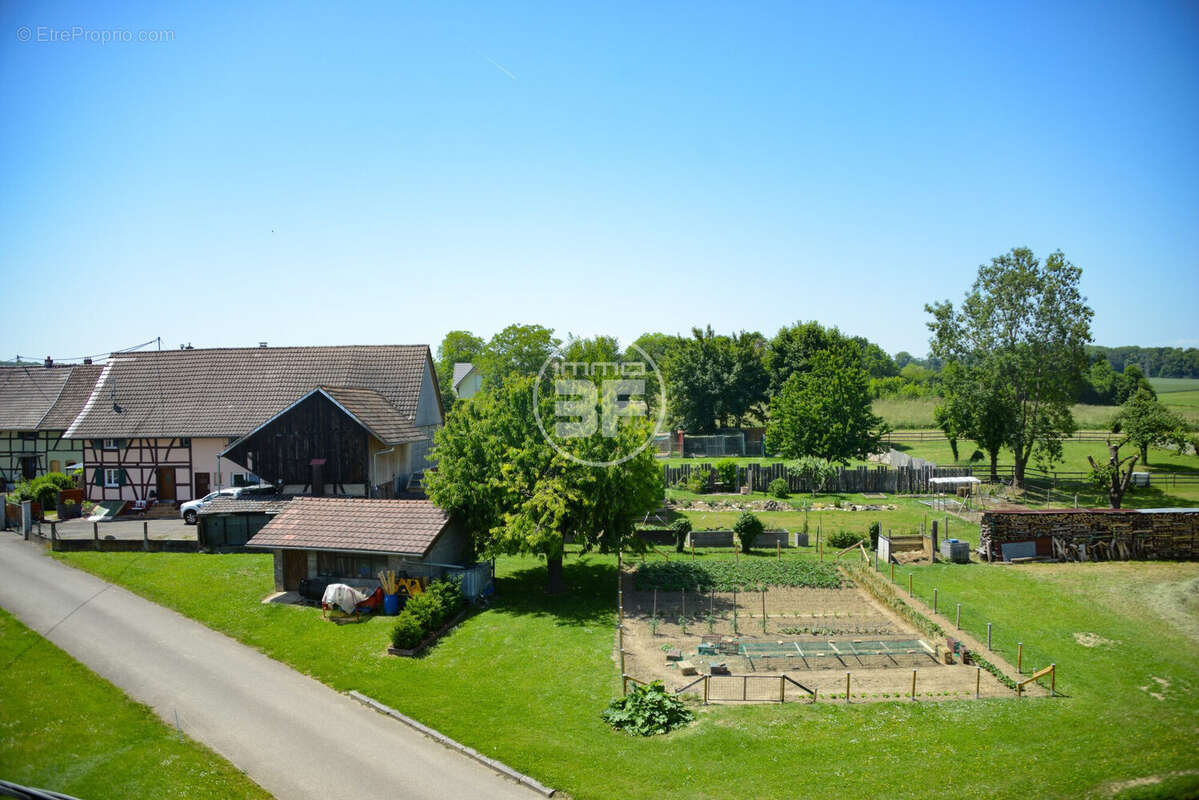 Maison à STETTEN