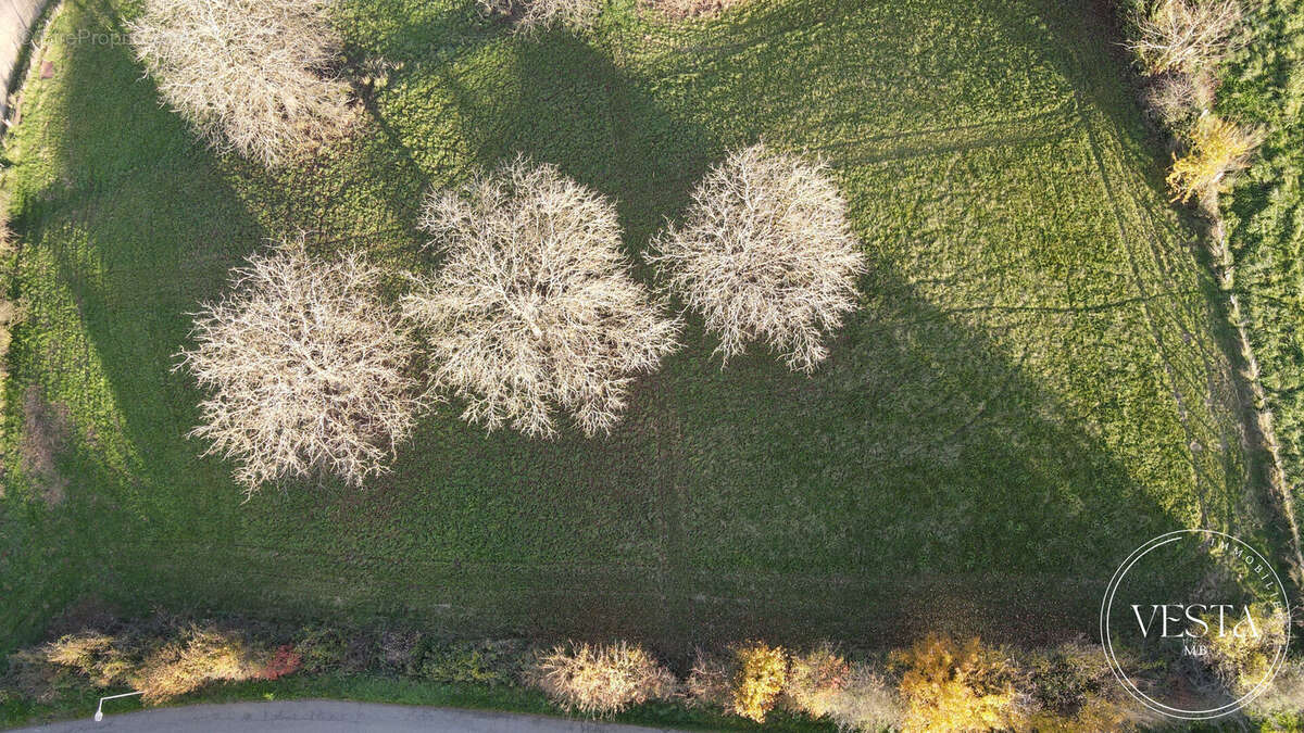 Terrain à MONTENOIS