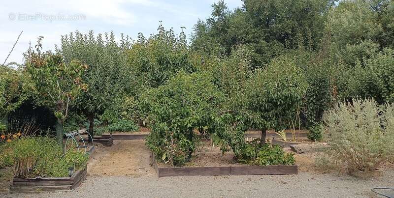 Maison à vendre 8 pièces  (33) - photo 24