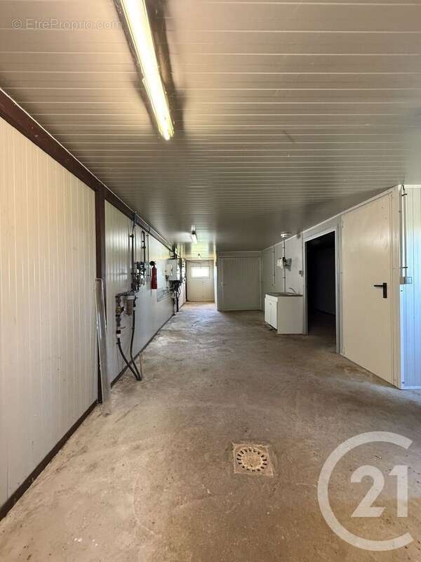 Terrain à BRESSOLLES