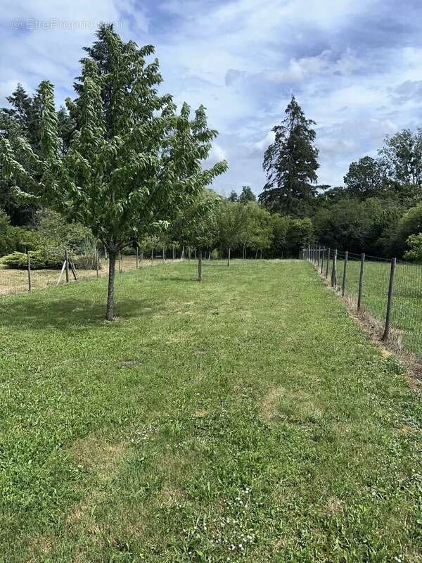 Maison 80 m² à Payroux  - photo 10