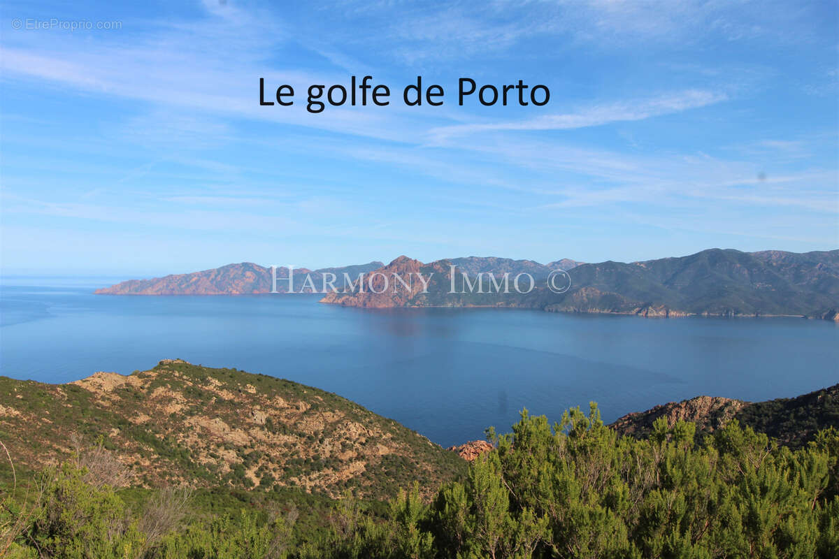 Terrain à PIANA