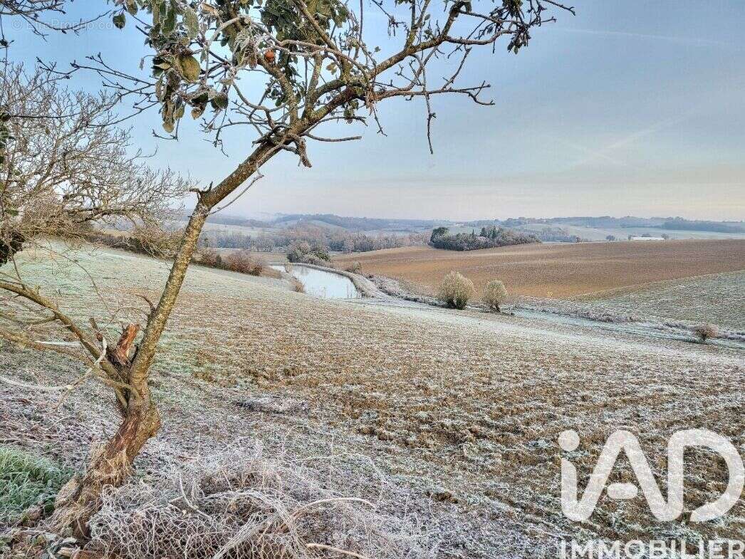 Photo 4 - Terrain à MONTGAILLARD