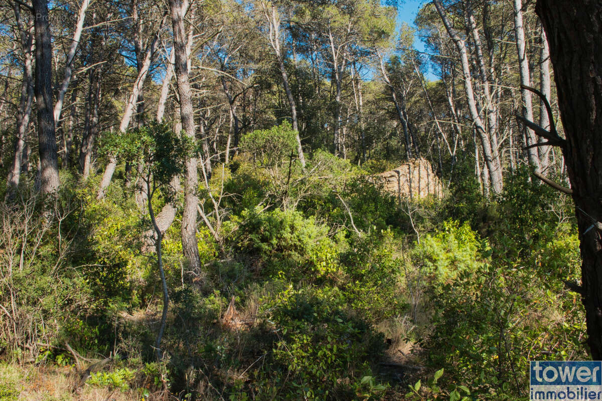 Terrain à FABREZAN