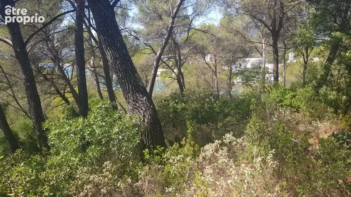Exclusivite - terrain a vendre - la roque d'antheron - foret - photo 3