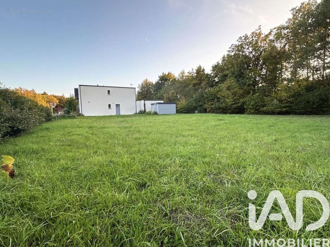 Photo 2 - Terrain à CHAUMONT-SUR-LOIRE