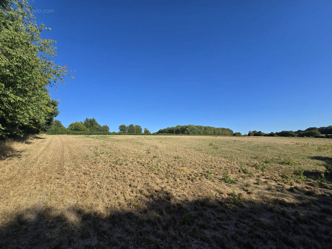Terrain à CERNOY-EN-BERRY