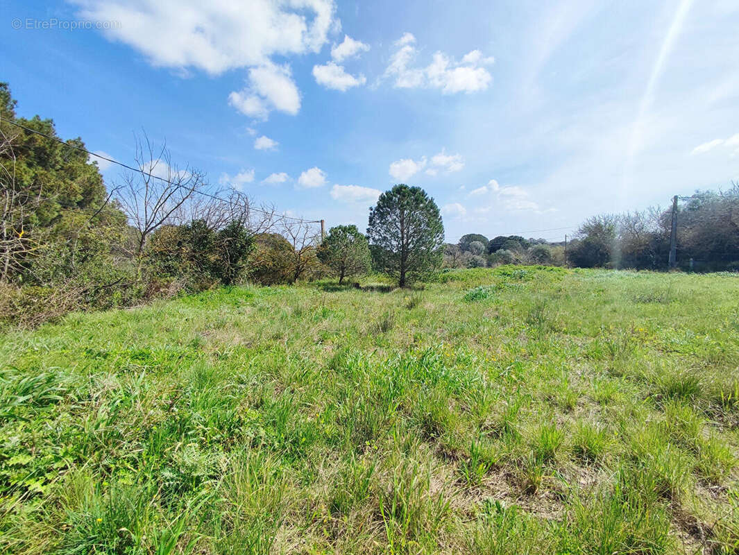 Terrain à PERPIGNAN