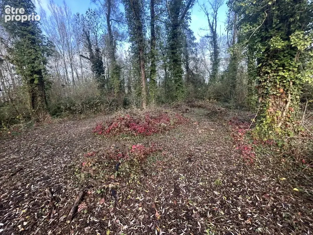 Terrain 2 000 m² à vendre à Flines-Lez-Raches (59148) - photo 8
