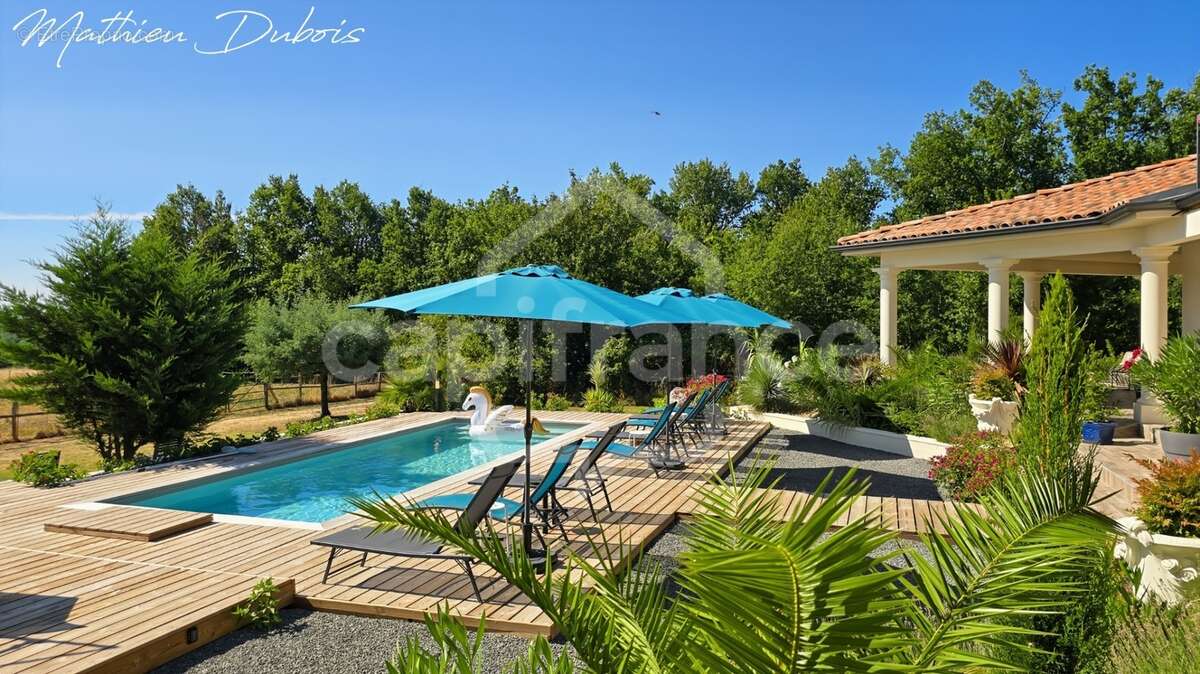 Villa d'architecte avec maison d'amis, piscine et 1,2 hectare au cœur du Périgord Vert - photo 3