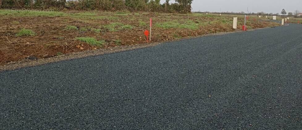 Terrain à SALLERTAINE