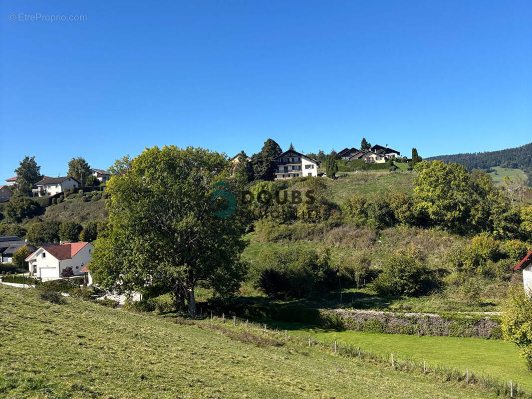 Terrain à GUYANS-VENNES