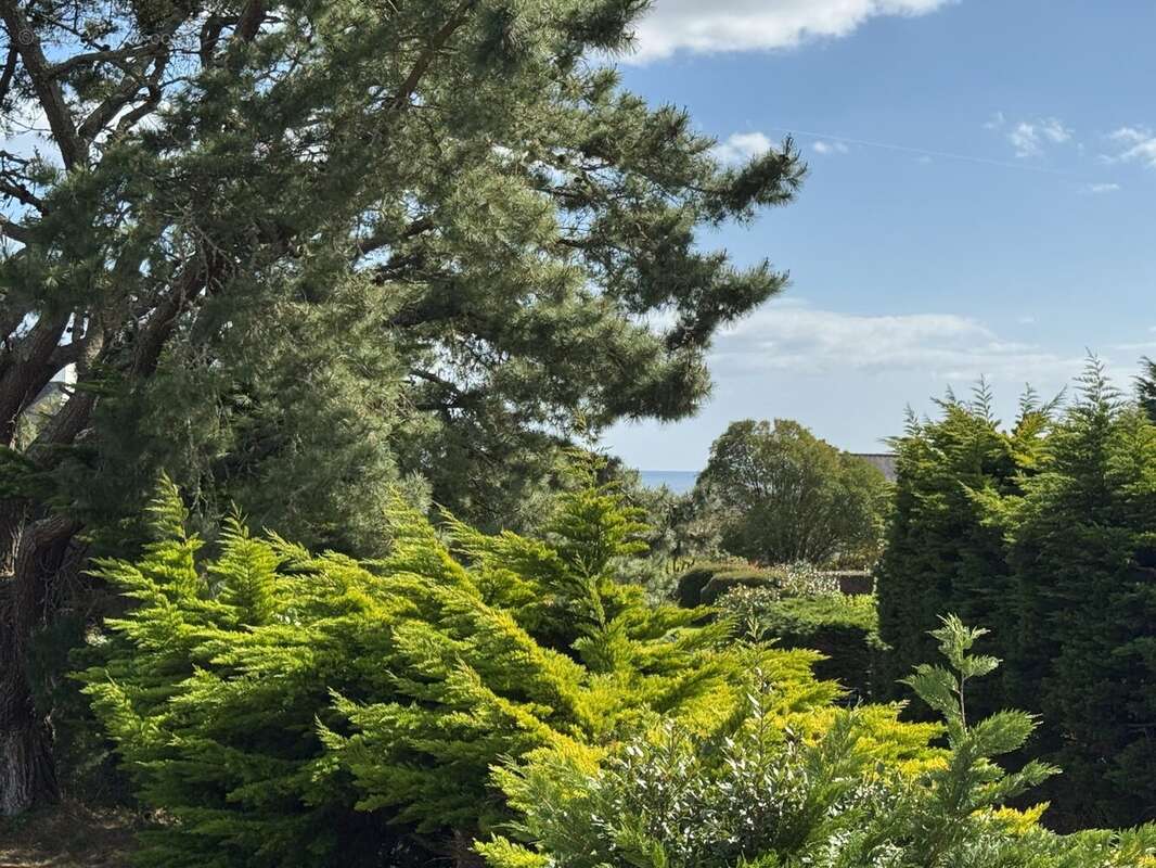 Maison à MOELAN-SUR-MER