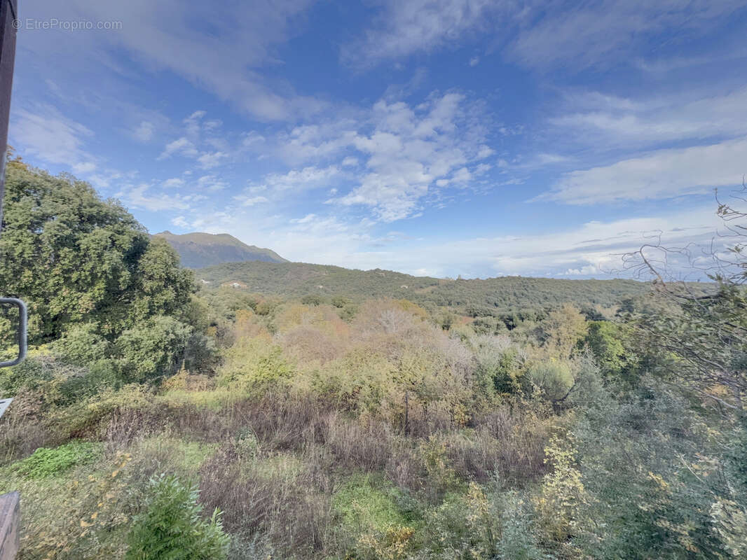 Maison 58 m² à San-Giuliano  - photo 8