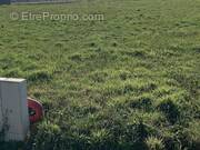 Terrain à SAINT-PERE-EN-RETZ