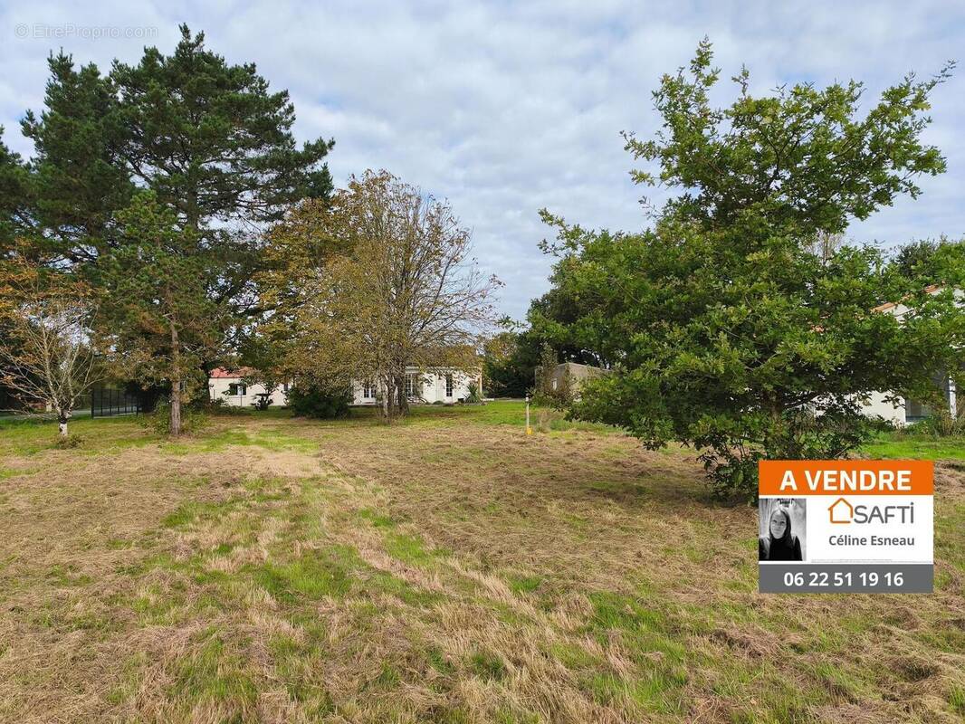 Photo 1 - Terrain à CORCOUE-SUR-LOGNE
