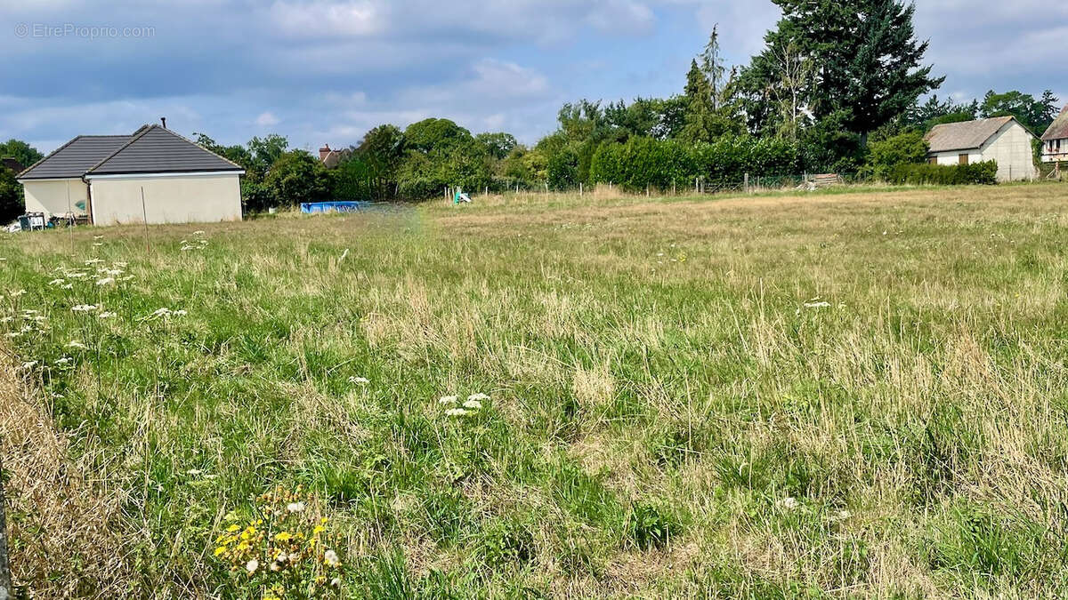 Terrain à LA CROISILLE