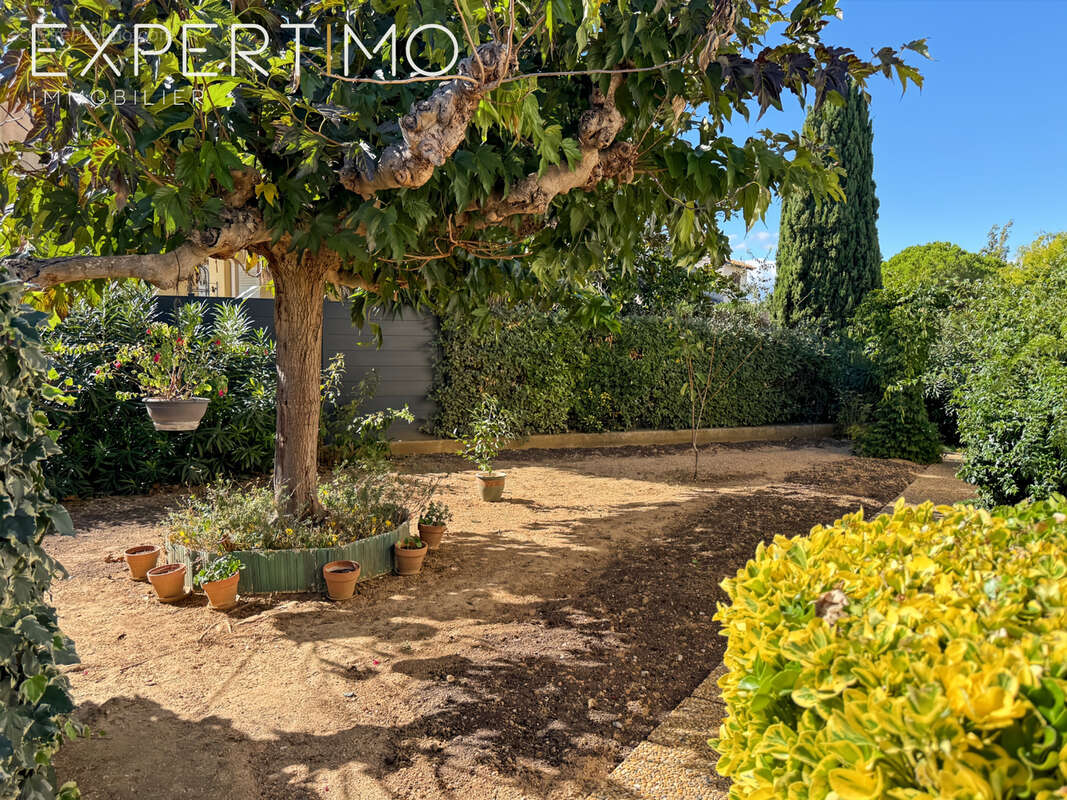 Maison à VILLENEUVE-LES-MAGUELONE