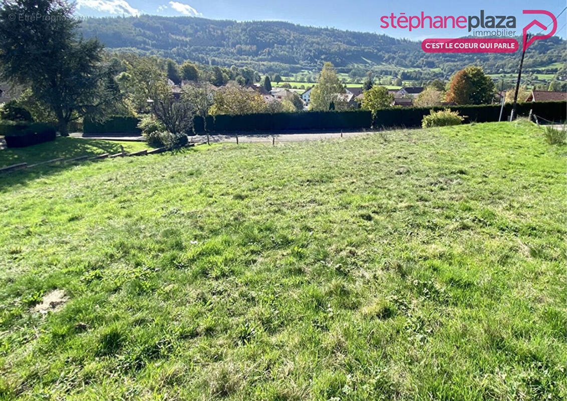 Terrain à RUPT-SUR-MOSELLE