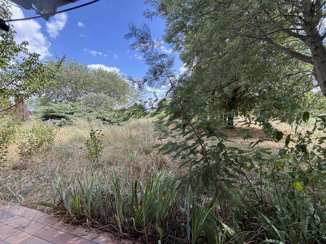 Maison à QUINT-FONSEGRIVES